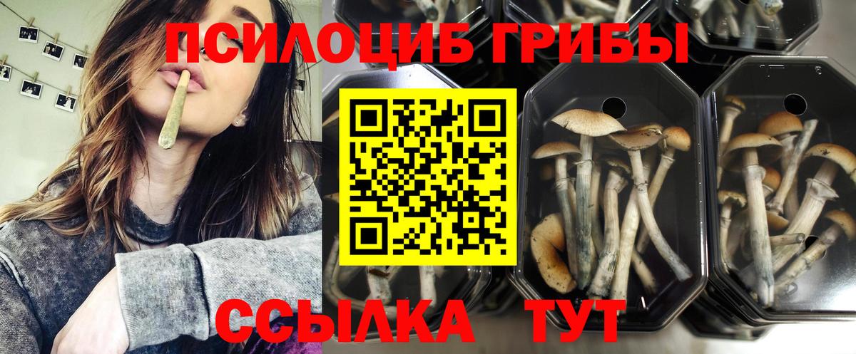 Пушкино  Галлюциногенные грибы MAGIC MUSHROOMS  Вход с VPN  Галлюциногенные грибы ЛСД 